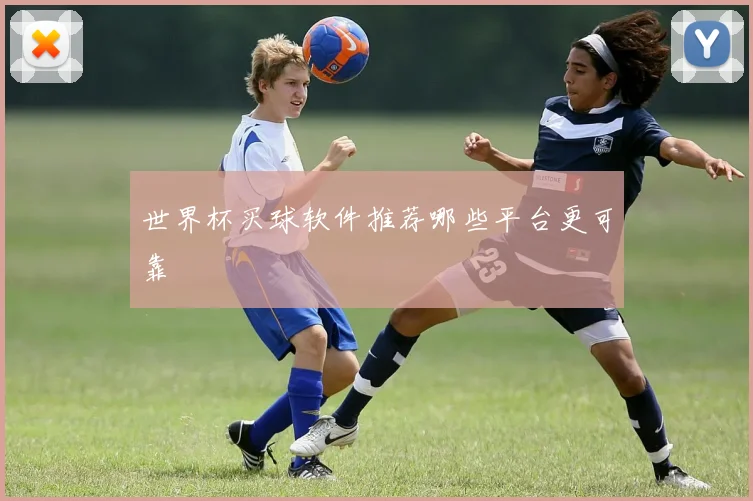 世界杯买球软件推荐哪些平台更可靠