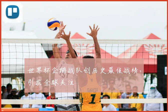 世界杯企鹅战队创历史最佳战绩,引发全球关注