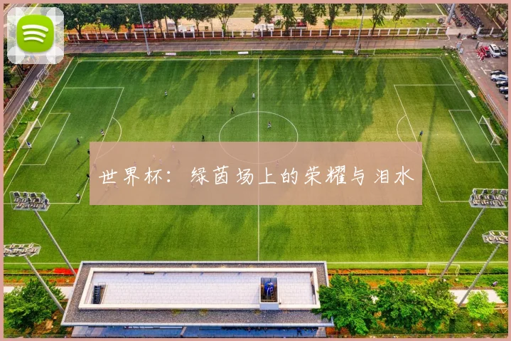 世界杯：绿茵场上的荣耀与泪水