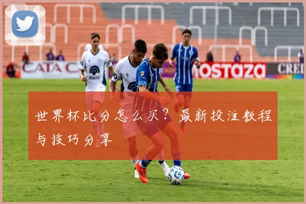 世界杯比分怎么买？最新投注教程与技巧分享