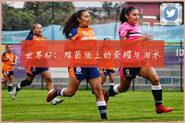 世界杯:绿茵场上的荣耀与泪水