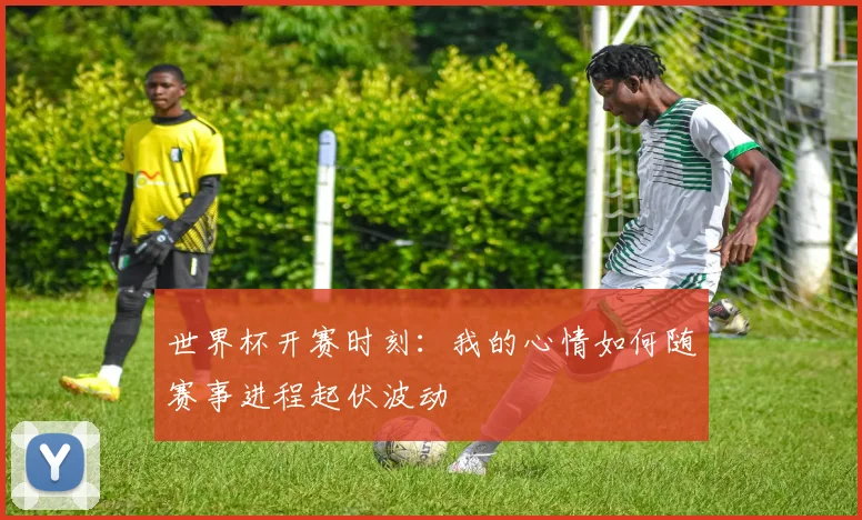 世界杯开赛时刻：我的心情如何随赛事进程起伏波动