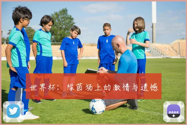 世界杯：绿茵场上的激情与遗憾