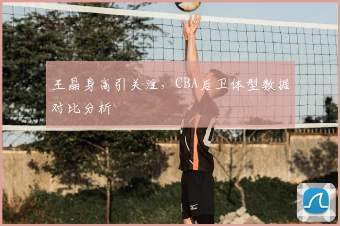 王晶身高引关注，CBA后卫体型数据对比分析
